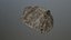 3D rock model