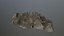 3D rock model