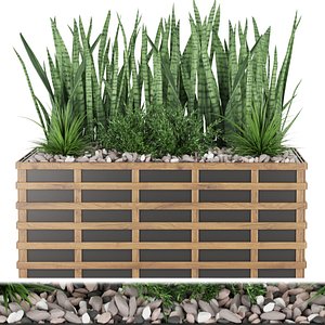 Collection plant vol 132 3D model