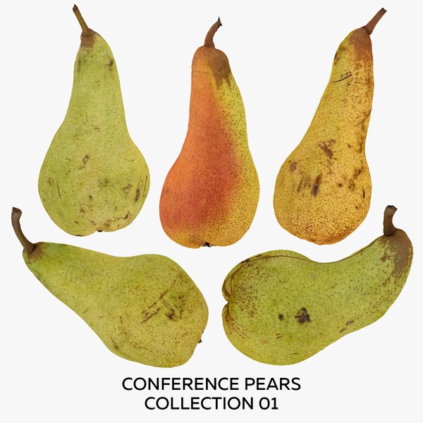 Conference Pears Collection 01 - 5 models RAW Scans 3D