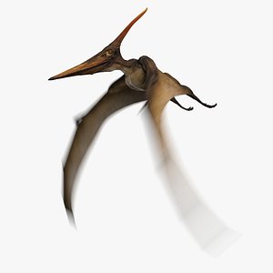3D model pteranodon longiceps animation flying