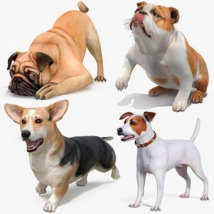Small Dogs Rigged for Maya Collection 2