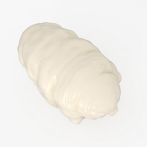 Water Bear