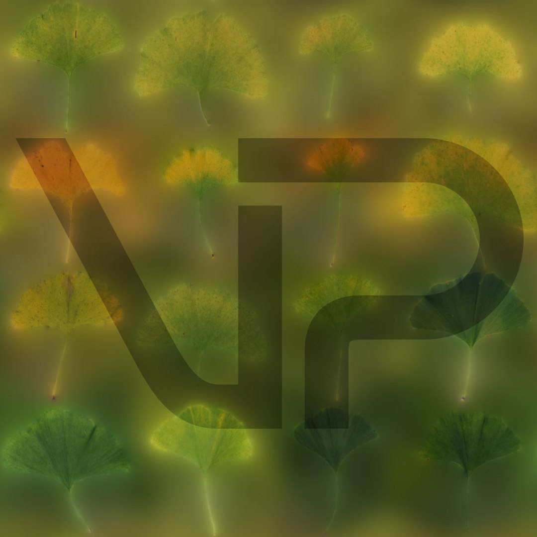 3D Real Trees III https://p.turbosquid.com/ts-thumb/6B/8vPwdA/11/vp_ginkgo_leaves_albedo_1k/jpg/1685383383/1920x1080/fit_q87/558f86884d3d121ad41511bea1fa474ac249ba20/vp_ginkgo_leaves_albedo_1k.jpg
