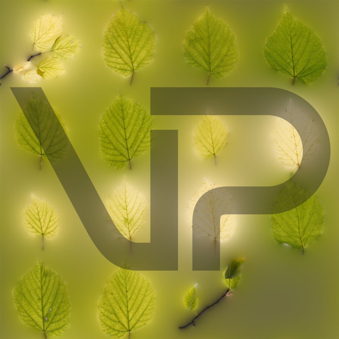 3D Real Trees III https://p.turbosquid.com/ts-thumb/6B/8vPwdA/2h/vp_linden_leaves_preview_translucency_1k/jpg/1685383415/1920x1080/fit_q87/116b5108cf3fac1ccc1fb8b26218001433494c8f/vp_linden_leaves_preview_translucency_1k.jpg