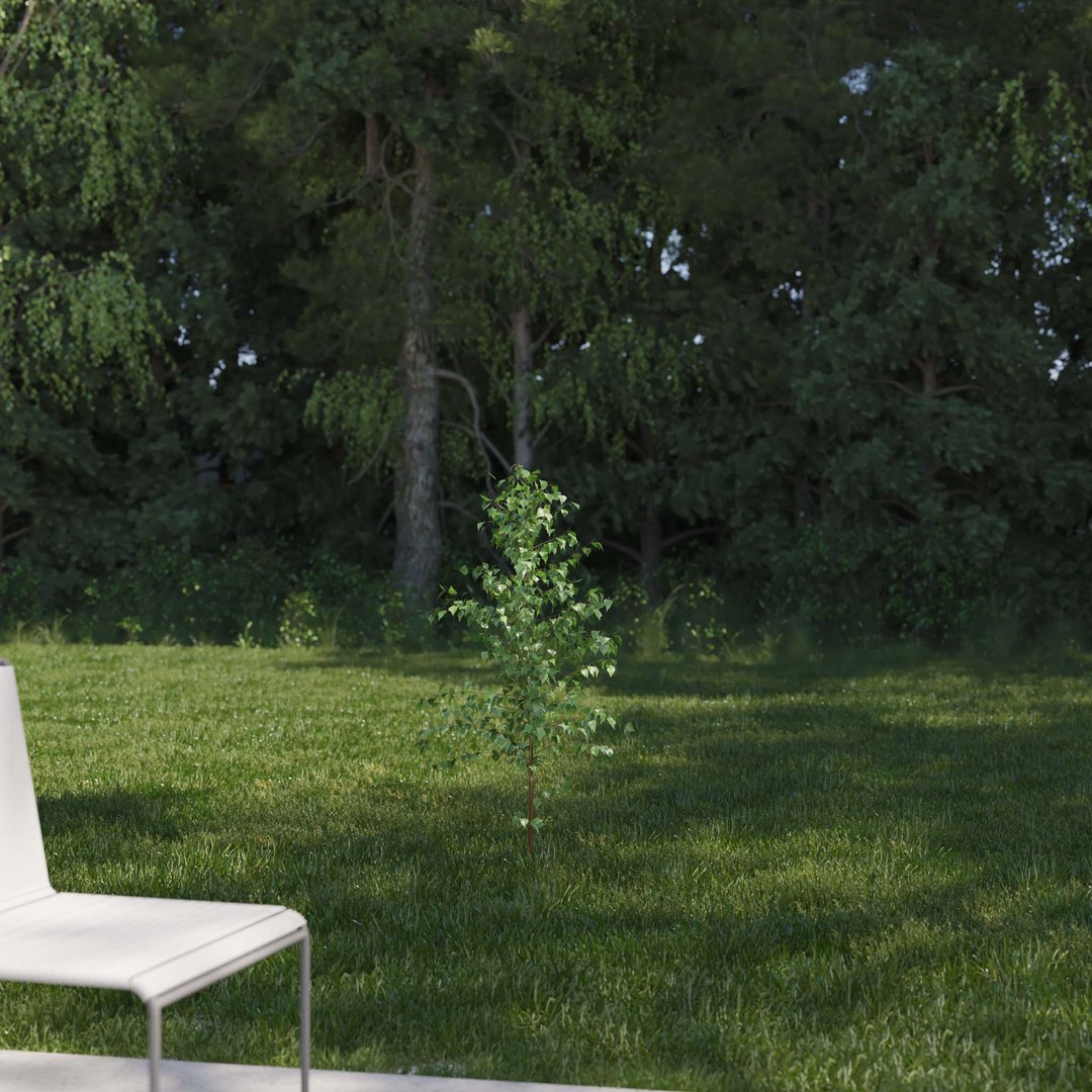 3D Real Trees III https://p.turbosquid.com/ts-thumb/6B/8vPwdA/5i/vpbirchv12k/jpg/1685383337/1920x1080/fit_q87/4d50de75c93e024e6c52a71166c1a94e16e46fb8/vpbirchv12k.jpg