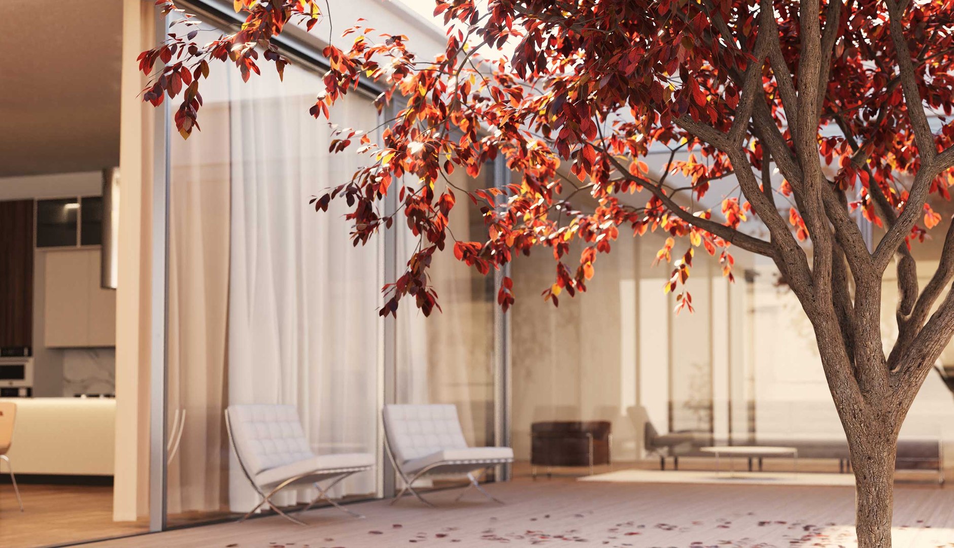 3D Real Trees III https://p.turbosquid.com/ts-thumb/6B/8vPwdA/6T/vp_prunus_nigra_closeup_2500px/jpg/1685383538/1920x1080/fit_q87/aee8b9f9e6add0de9ab43867bb51e6a4f343fa4e/vp_prunus_nigra_closeup_2500px.jpg