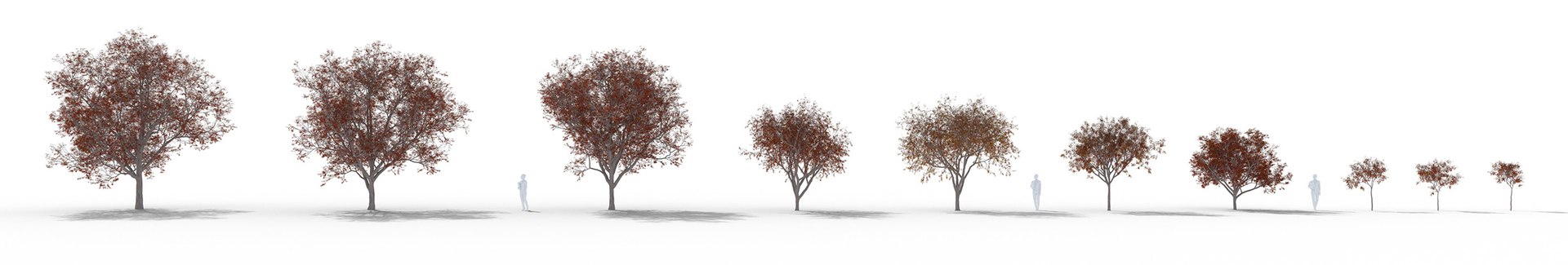 3D Real Trees III https://p.turbosquid.com/ts-thumb/6B/8vPwdA/7q/vp_prunus_nigra_lineup_2500px/jpg/1685383539/1920x1080/fit_q87/62558b465986910da6bb9d9d4efc9514abd9b5ff/vp_prunus_nigra_lineup_2500px.jpg