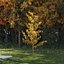 Real Trees III