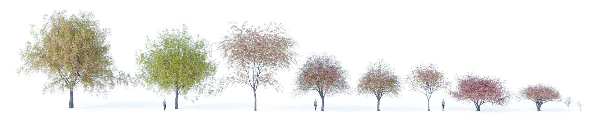 3D Real Trees III https://p.turbosquid.com/ts-thumb/6B/8vPwdA/9D/vpcherryblossomallvariations2048px/jpg/1685383489/1920x1080/fit_q87/3cd97f061e7b0110b7cb564379570d3535a73535/vpcherryblossomallvariations2048px.jpg