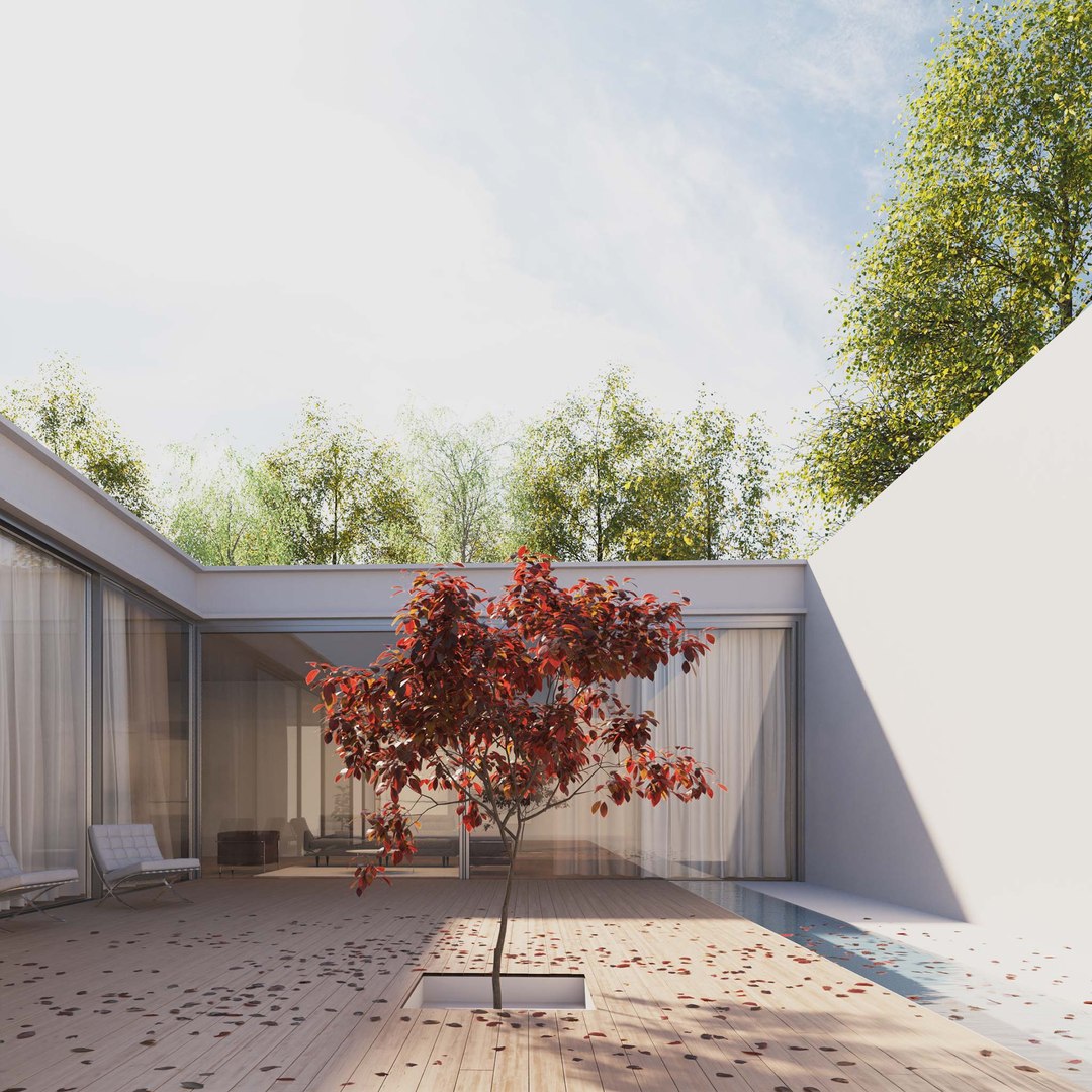 3D Real Trees III https://p.turbosquid.com/ts-thumb/6B/8vPwdA/9t/vpblackplumtreev2/jpg/1685383533/1920x1080/fit_q87/a76b8c498a2da3335d19ea949923b3a9787f0edb/vpblackplumtreev2.jpg
