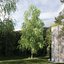 Real Trees III