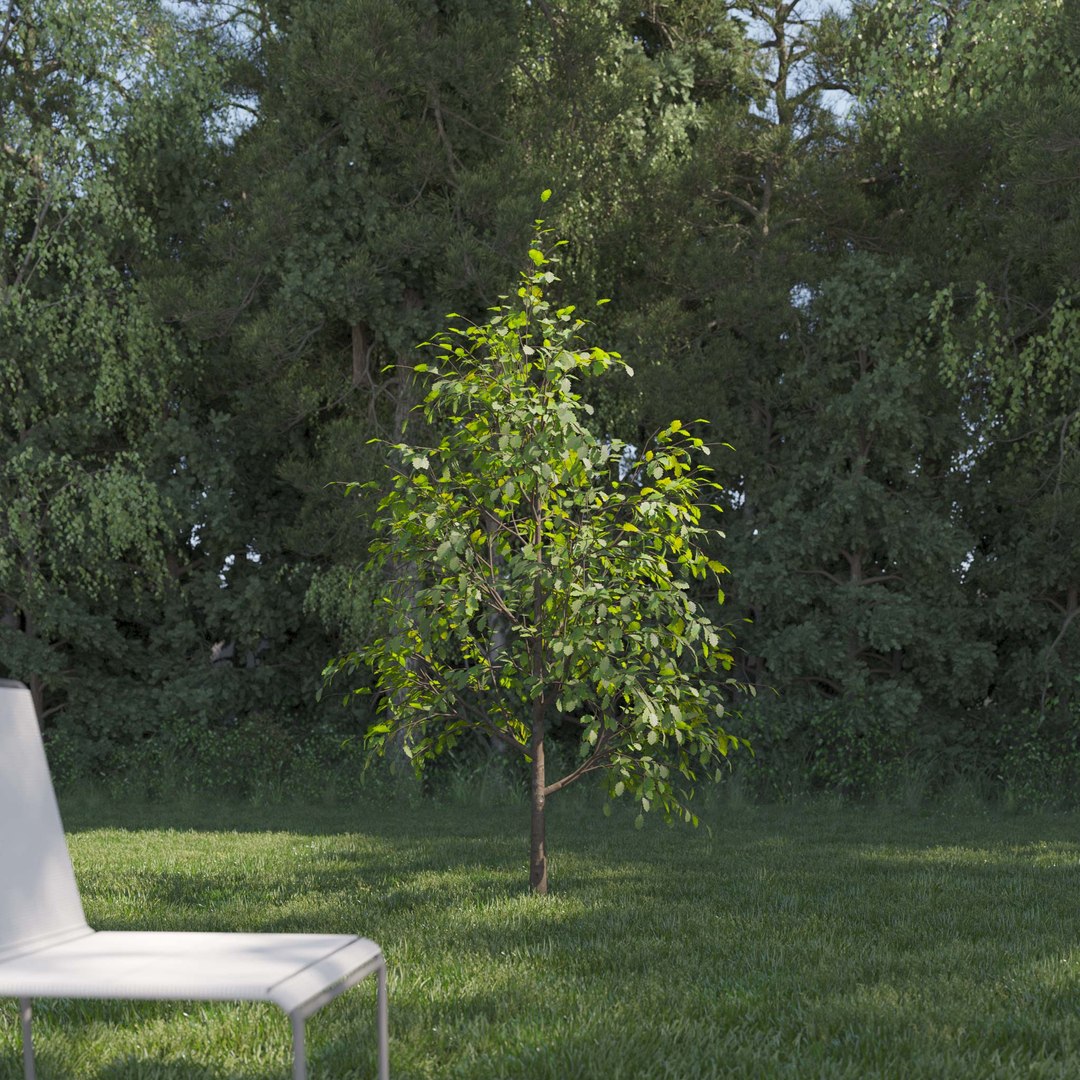 3D Real Trees III https://p.turbosquid.com/ts-thumb/6B/8vPwdA/Bj/vpoaktreev2/jpg/1685383468/1920x1080/fit_q87/145a7fe54f30c9c4489fdfa7d2a7c40475037c29/vpoaktreev2.jpg