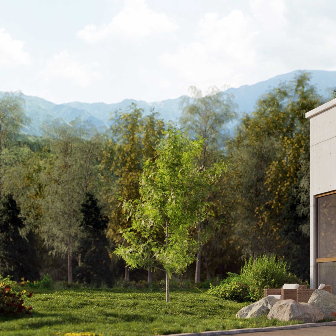 3D Real Trees III https://p.turbosquid.com/ts-thumb/6B/8vPwdA/DM/vpamericanpepperv4/jpg/1685383435/1920x1080/fit_q87/76ebe98c34241600b80ea716b88db5f613603d3e/vpamericanpepperv4.jpg