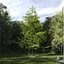 Real Trees III