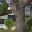 Real Trees III