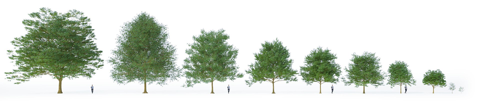 3D Real Trees III https://p.turbosquid.com/ts-thumb/6B/8vPwdA/IT/vpsycamoremapleall10variations/jpg/1685383513/1920x1080/fit_q87/15c3f337d05ffc2e7580f5db27379efadc10063c/vpsycamoremapleall10variations.jpg