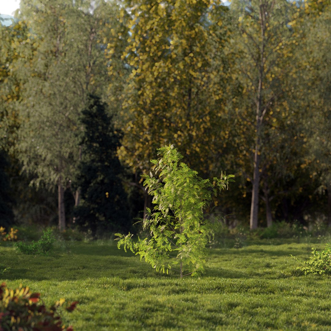 3D Real Trees III https://p.turbosquid.com/ts-thumb/6B/8vPwdA/Jc/vpamericanpepperv3/jpg/1685383442/1920x1080/fit_q87/0c929033029c6049073cc30fc3ef4a0bb0f9bb20/vpamericanpepperv3.jpg