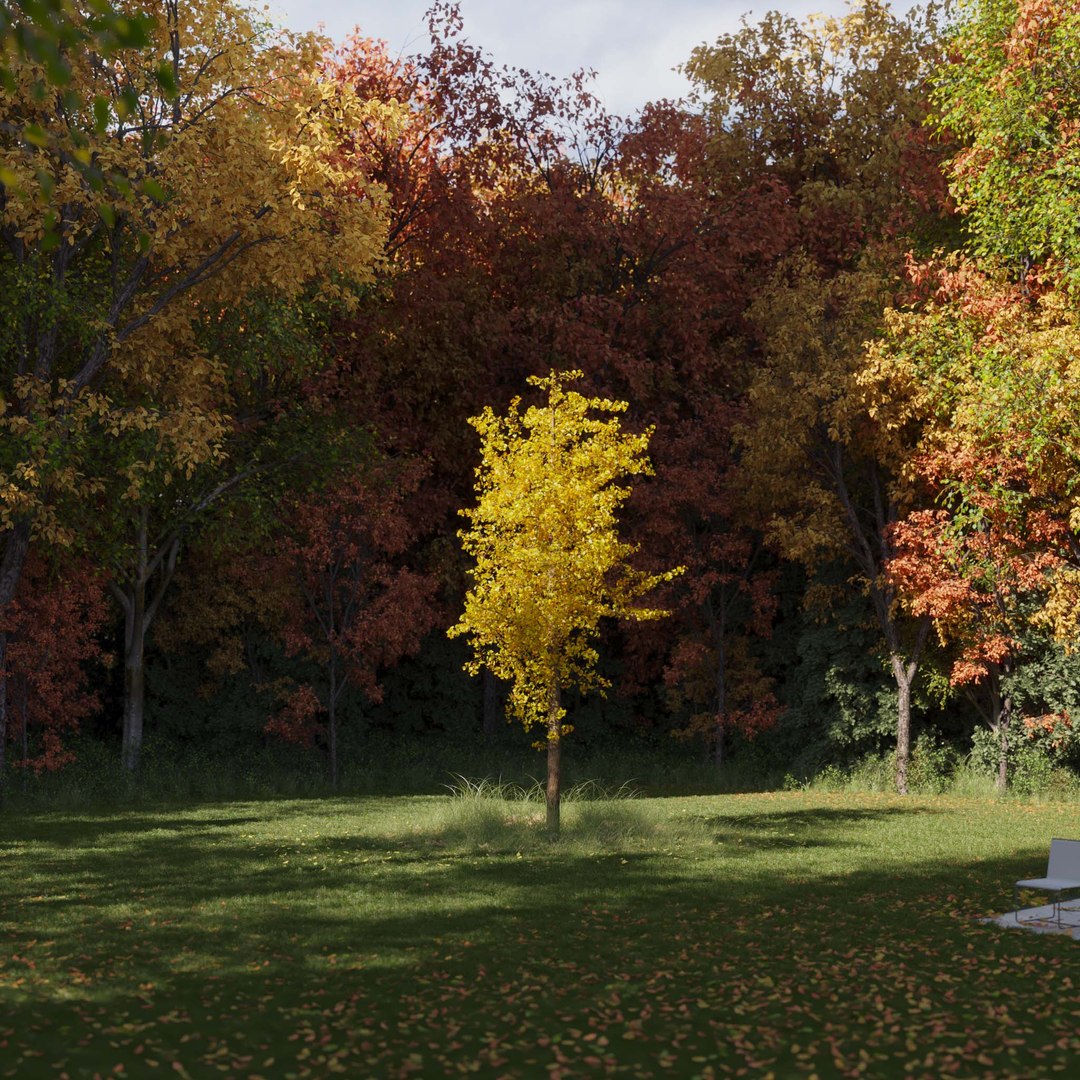 3D Real Trees III https://p.turbosquid.com/ts-thumb/6B/8vPwdA/M7/vpginkgotreev6/jpg/1685383379/1920x1080/fit_q87/74183c0c204de6b03729a8f1f296b394d2eef2d4/vpginkgotreev6.jpg