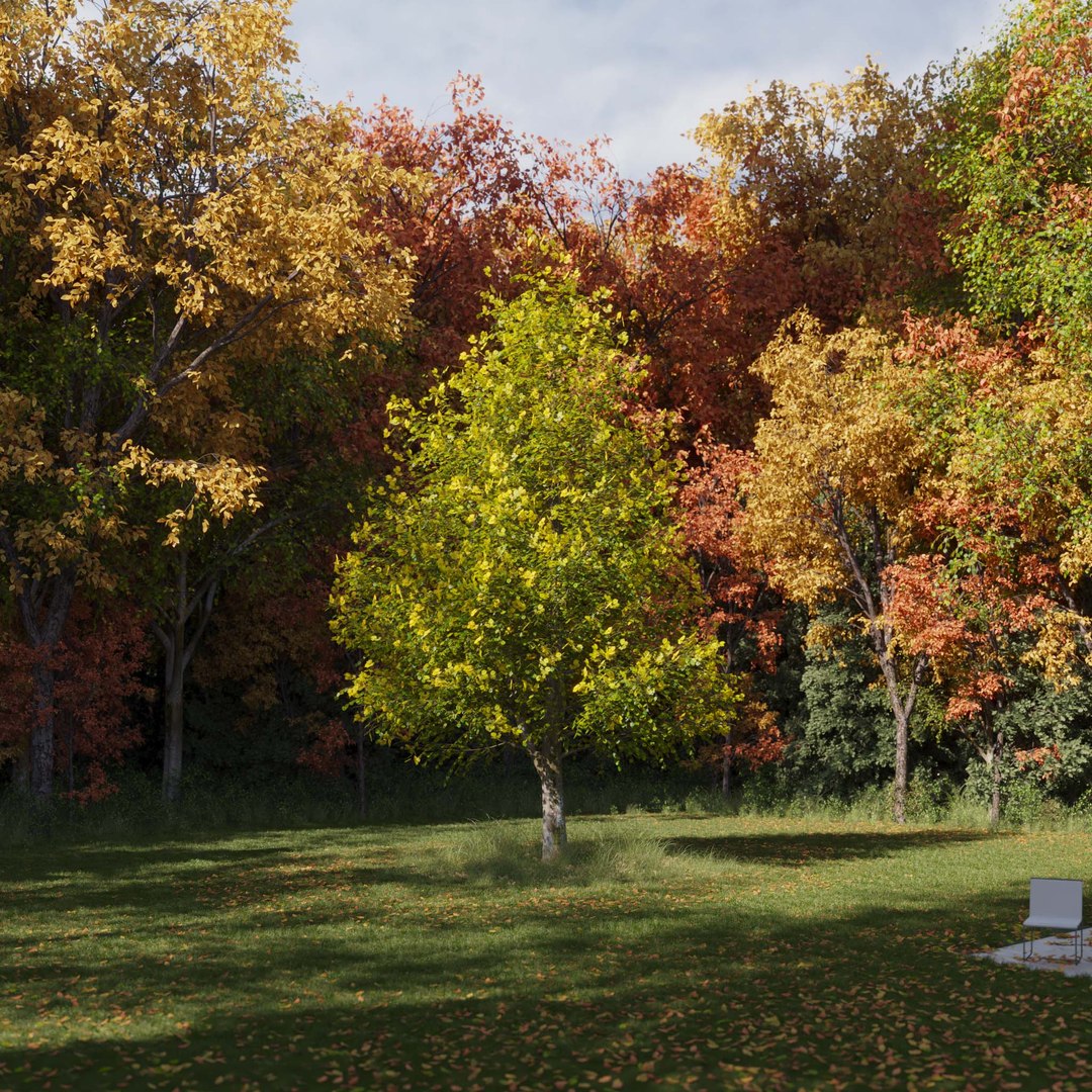 3D Real Trees III https://p.turbosquid.com/ts-thumb/6B/8vPwdA/Mr/vplindentreev4/jpg/1685383407/1920x1080/fit_q87/480954417f9117da33237c1a3e9317056518c64a/vplindentreev4.jpg