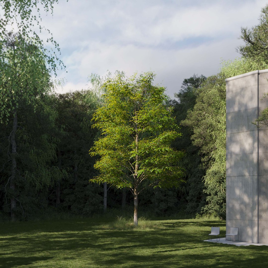 3D Real Trees III https://p.turbosquid.com/ts-thumb/6B/8vPwdA/N3/vplindentreev5/jpg/1685383409/1920x1080/fit_q87/5154982b9451914d16b25594512d1d58abdff335/vplindentreev5.jpg