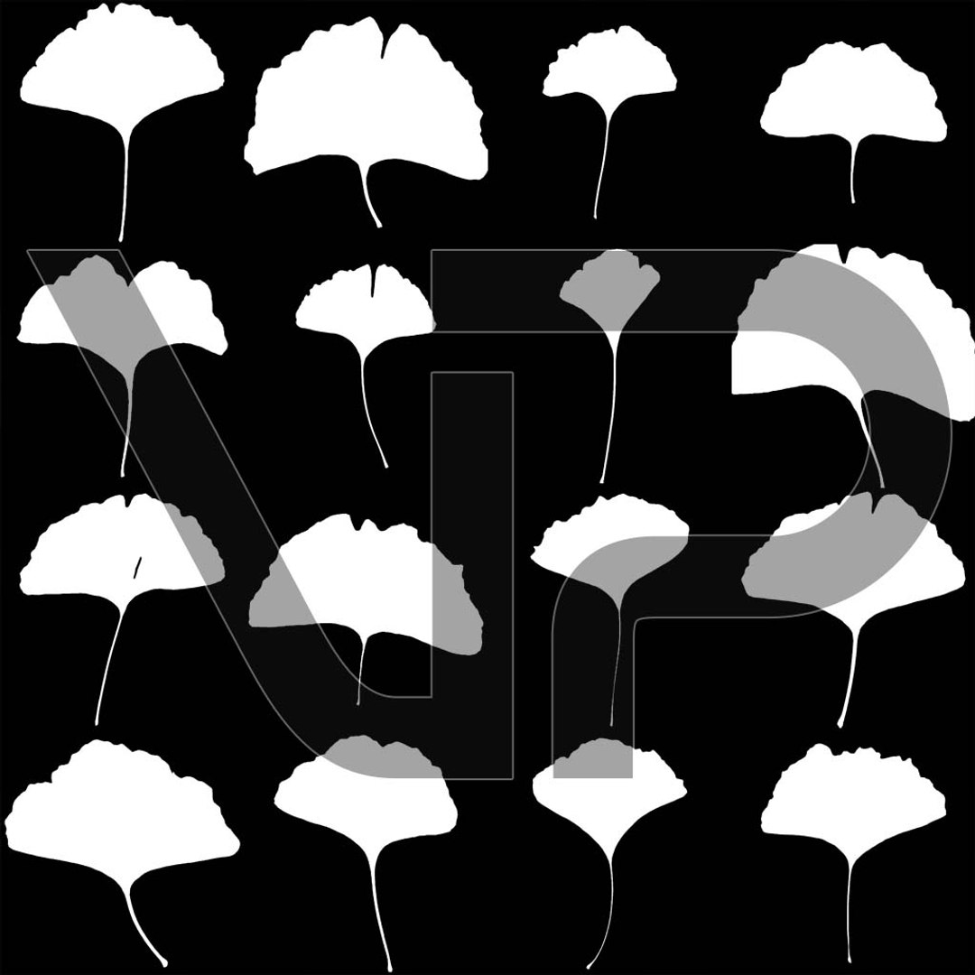 3D Real Trees III https://p.turbosquid.com/ts-thumb/6B/8vPwdA/PJ/vp_ginkgo_leaves_mask_1k/jpg/1685383384/1920x1080/fit_q87/00cc1a28113eefb9750164f0216d3083e2e24da1/vp_ginkgo_leaves_mask_1k.jpg