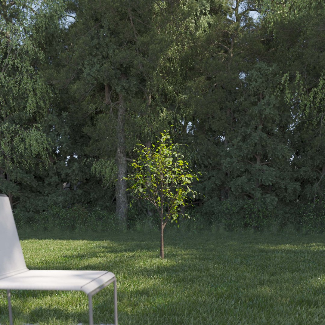 3D Real Trees III https://p.turbosquid.com/ts-thumb/6B/8vPwdA/PM/vpoaktreev1/jpg/1685383466/1920x1080/fit_q87/ecec23f55b549d519463093edf948a6fe2c60d88/vpoaktreev1.jpg