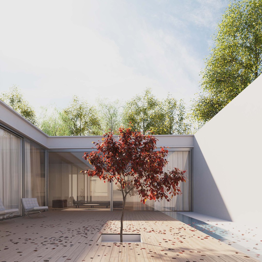 3D Real Trees III https://p.turbosquid.com/ts-thumb/6B/8vPwdA/Pv/vpblackplumtreev3/jpg/1685383533/1920x1080/fit_q87/a3fa143378b942b21bb2ba9bca9abd41d494c331/vpblackplumtreev3.jpg