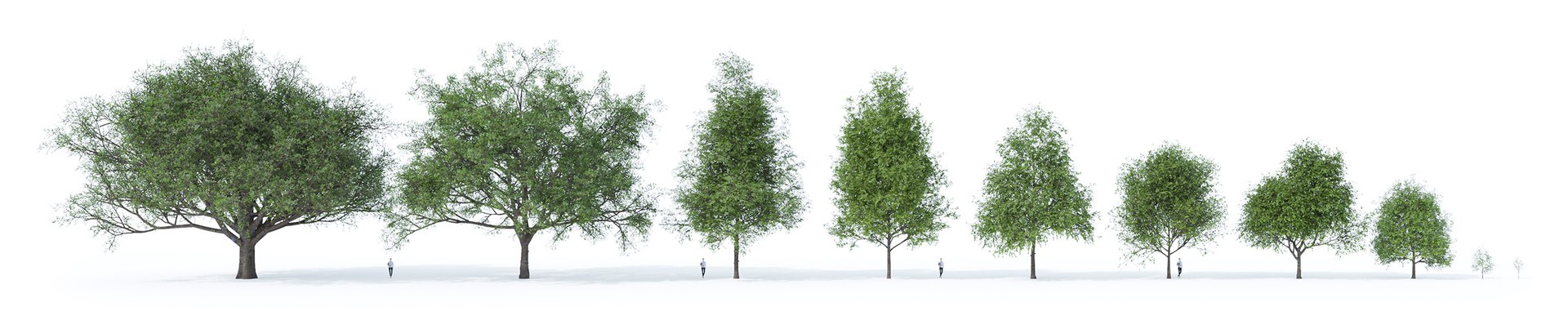3D Real Trees III https://p.turbosquid.com/ts-thumb/6B/8vPwdA/RS/vpoakall10variations2500px/jpg/1685383473/1920x1080/fit_q87/27f8d4fd1506840da420bc75f6cda6999c25e9d5/vpoakall10variations2500px.jpg