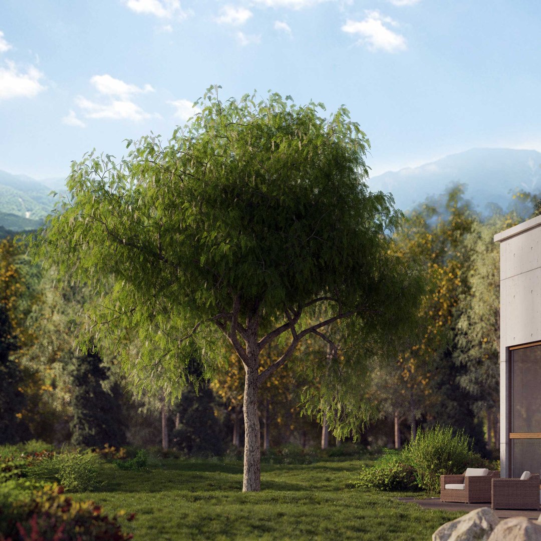 3D Real Trees III https://p.turbosquid.com/ts-thumb/6B/8vPwdA/Rc/vpamericanpepperv7/jpg/1685383438/1920x1080/fit_q87/77c6c80bbf8f6ba2ce4f84ae493a27706d8f2c39/vpamericanpepperv7.jpg