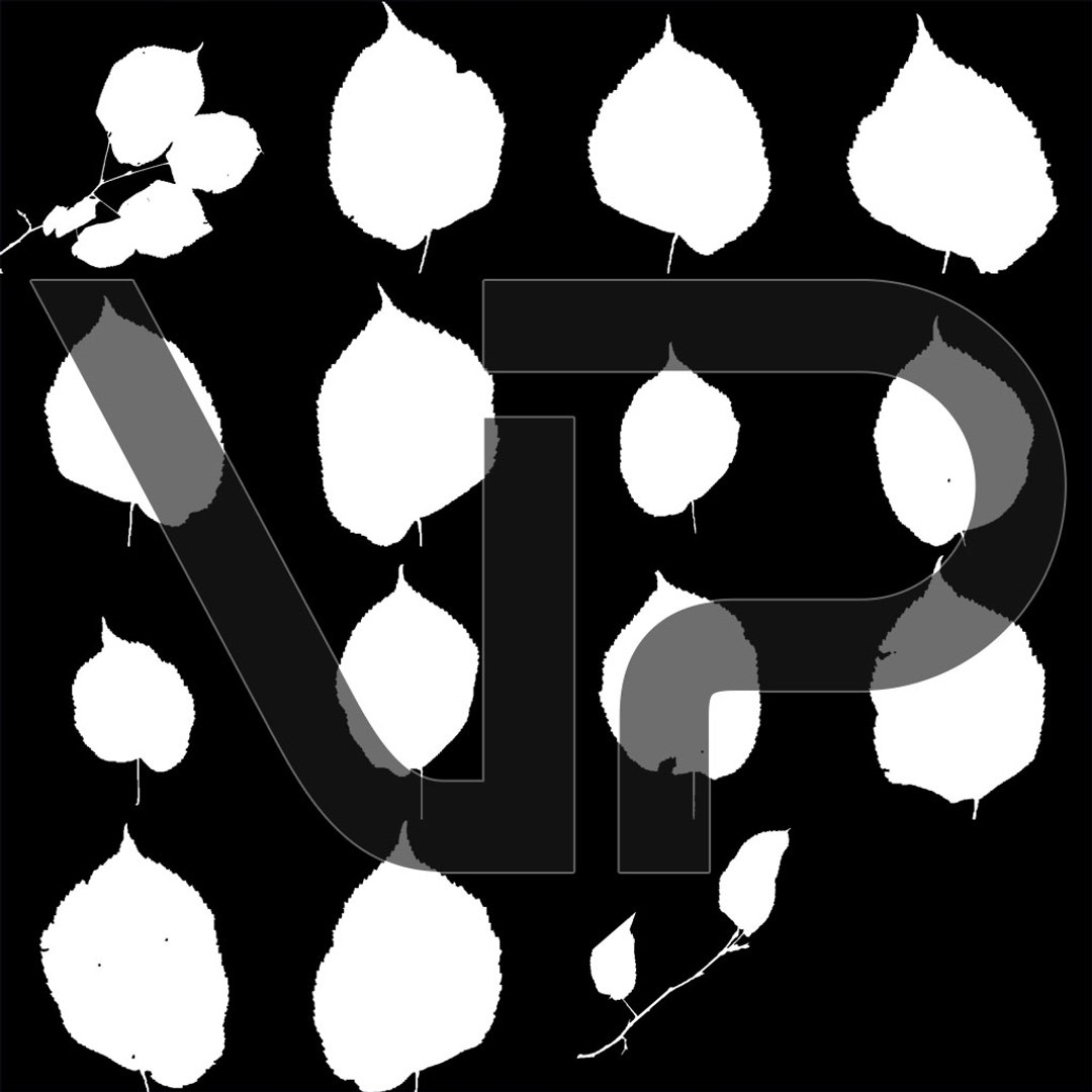 3D Real Trees III https://p.turbosquid.com/ts-thumb/6B/8vPwdA/Rj/vp_linden_leaves_preview_mask_1k/jpg/1685383414/1920x1080/fit_q87/8dc2b523439a5dc188a21cef20b8e7bfe7fb471f/vp_linden_leaves_preview_mask_1k.jpg
