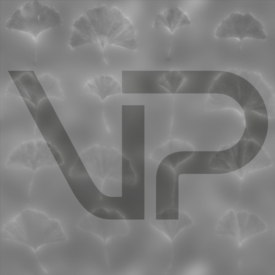 3D Real Trees III https://p.turbosquid.com/ts-thumb/6B/8vPwdA/S3/vp_ginkgo_leaves_roughness_1k/jpg/1685383385/1920x1080/fit_q87/840602d579a80937fb6d81f368fe03084ddadb01/vp_ginkgo_leaves_roughness_1k.jpg