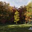 Real Trees III