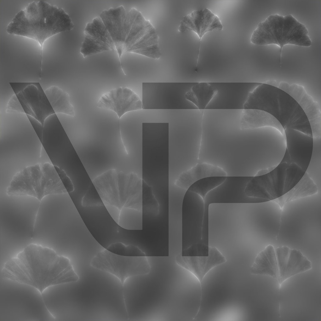 3D Real Trees III https://p.turbosquid.com/ts-thumb/6B/8vPwdA/SH/vp_ginkgo_leaves_height_1k/jpg/1685383383/1920x1080/fit_q87/c8c7bd9ef7030e5250cbb9e647c1c9a194fba8d8/vp_ginkgo_leaves_height_1k.jpg