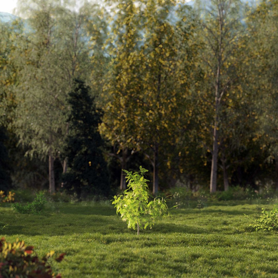 3D Real Trees III https://p.turbosquid.com/ts-thumb/6B/8vPwdA/Ta/vpamericanpepperv1/jpg/1685383433/1920x1080/fit_q87/86f2ad38cd286d1aa46097f284e02cb71cb7971b/vpamericanpepperv1.jpg