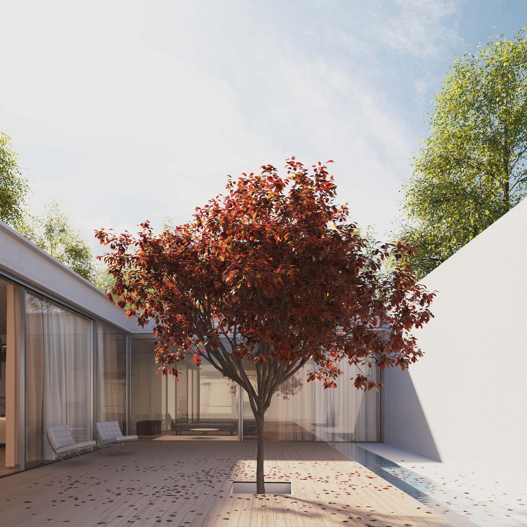 3D Real Trees III https://p.turbosquid.com/ts-thumb/6B/8vPwdA/Ve/vpblackplumtreev5/jpg/1685383533/1920x1080/fit_q87/f68e104c0cc73d4cfa0c838a2db222f7995b6c71/vpblackplumtreev5.jpg