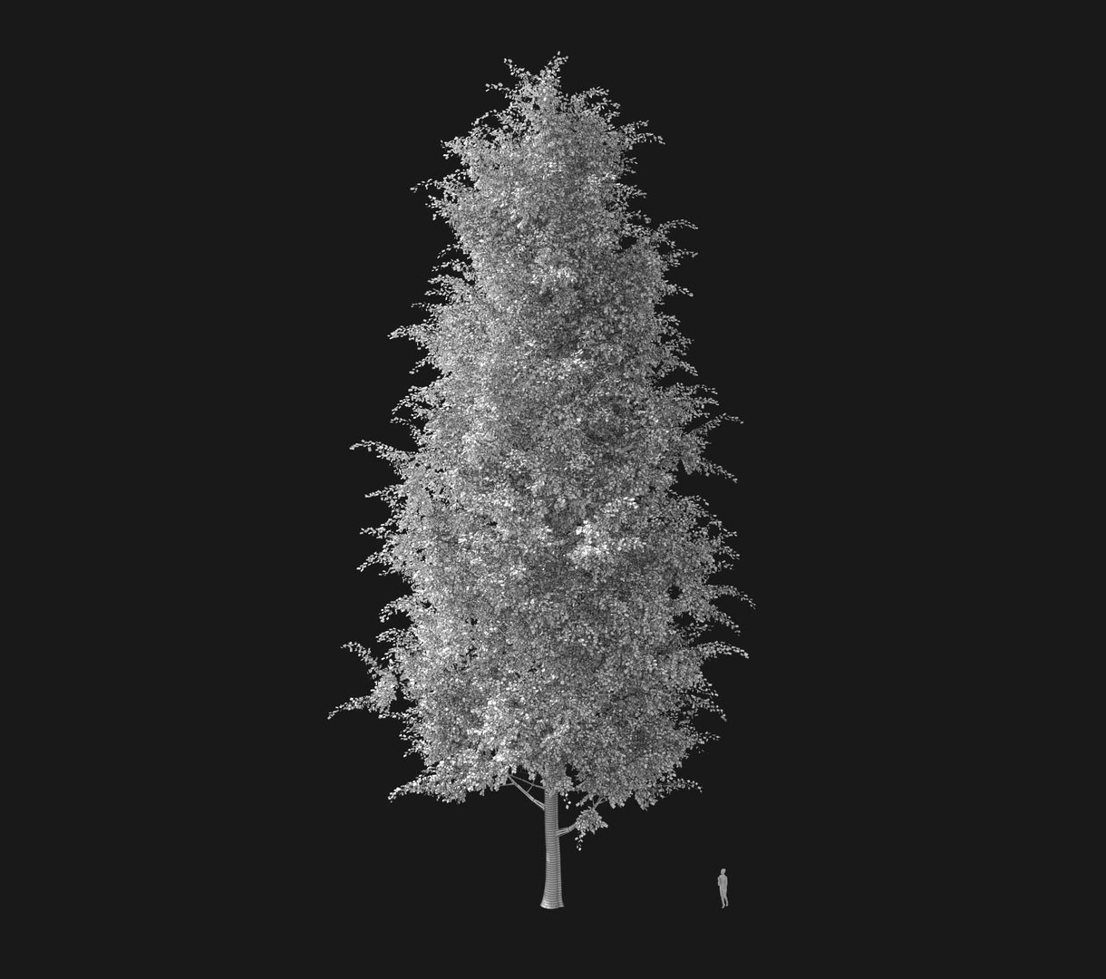 3D Real Trees III https://p.turbosquid.com/ts-thumb/6B/8vPwdA/XA/lindenwire1920px/jpg/1685383800/1920x1080/fit_q87/1cc74affabd5928d1b74673563b83b758d9862ba/lindenwire1920px.jpg