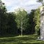 Real Trees III