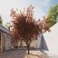 Real Trees III