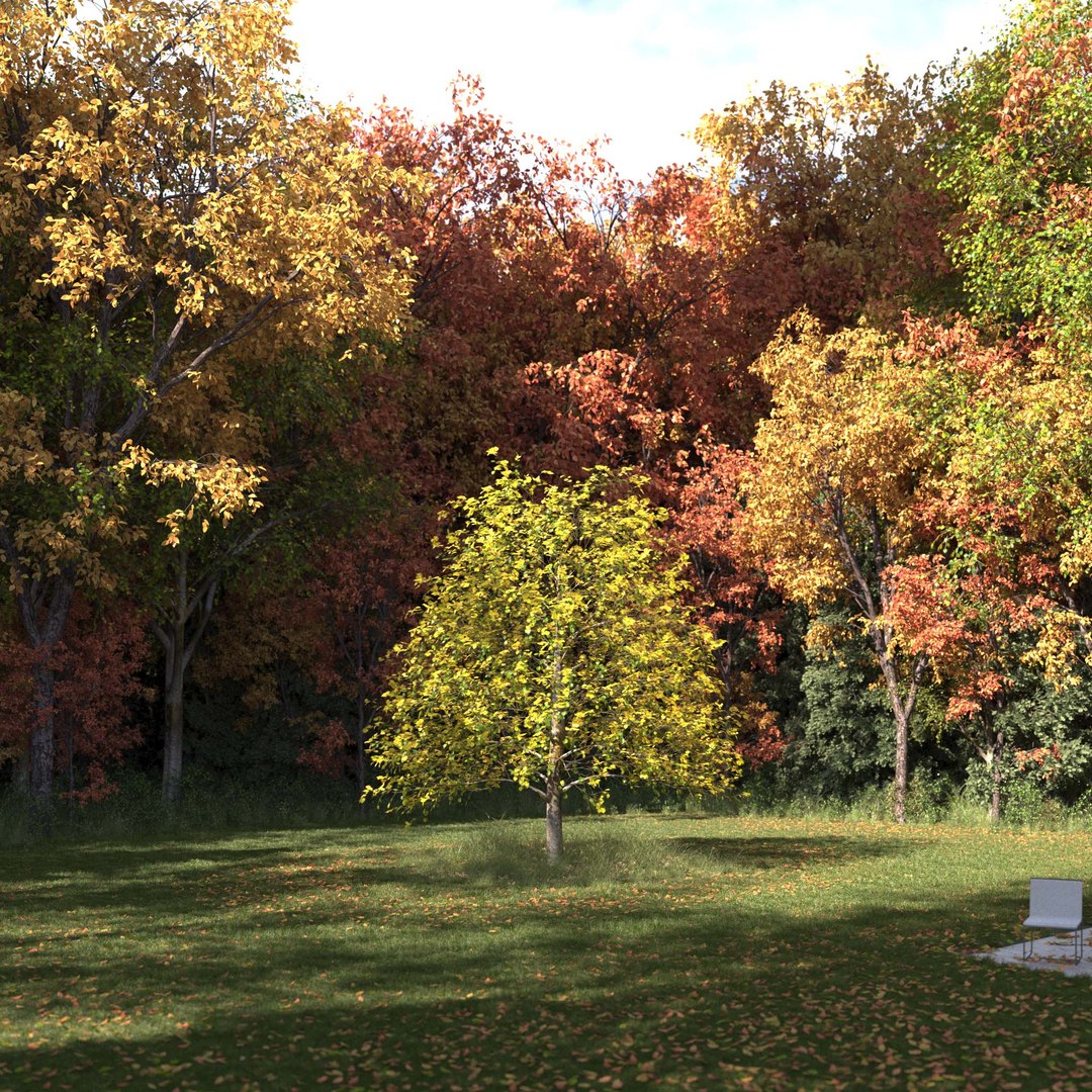 3D Real Trees III https://p.turbosquid.com/ts-thumb/6B/8vPwdA/bv/vplindentreev3/jpg/1685383407/1920x1080/fit_q87/8b5cfcbf14bb6efc738cc9dc12a7155c1a837025/vplindentreev3.jpg