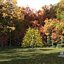 Real Trees III