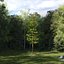 Real Trees III