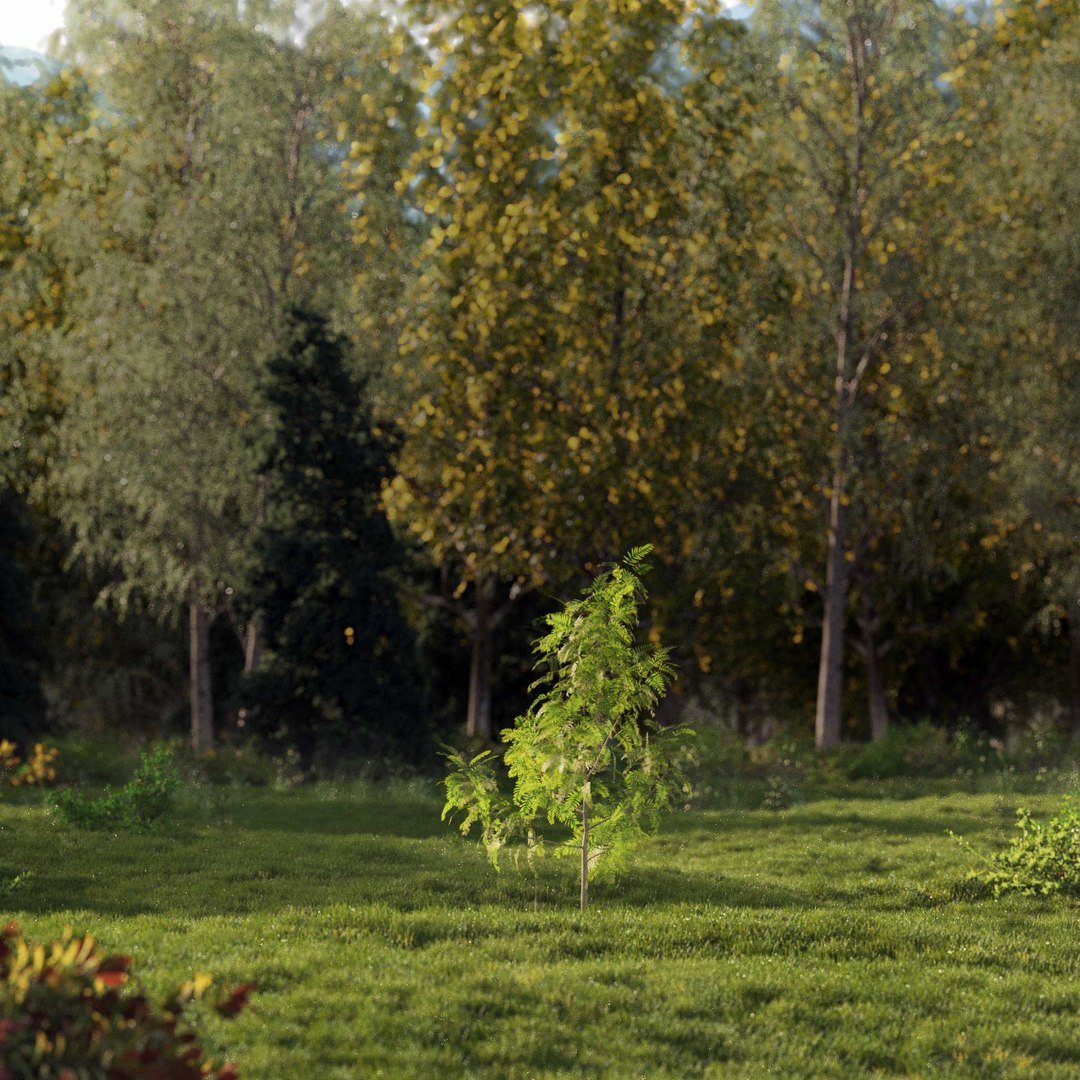 3D Real Trees III https://p.turbosquid.com/ts-thumb/6B/8vPwdA/dy/vpamericanpepperv2/jpg/1685383435/1920x1080/fit_q87/b10616351538e9a3e22c8a67752b903b896d5eb6/vpamericanpepperv2.jpg