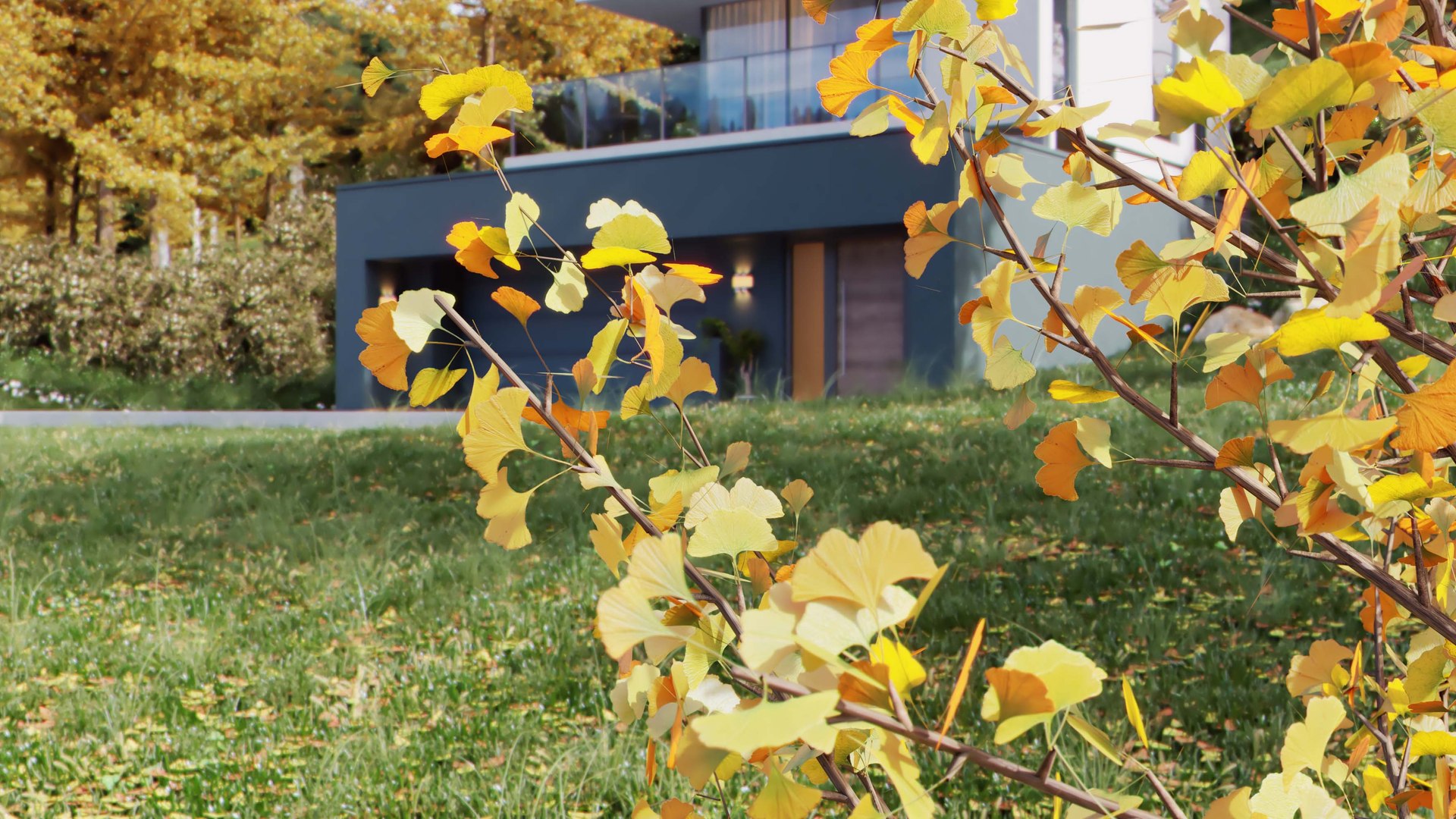 3D Real Trees III https://p.turbosquid.com/ts-thumb/6B/8vPwdA/lX/vpginkgocover3500px/jpg/1685383375/1920x1080/fit_q87/4ca74fd1708084f1dc64155b6d3db8b5af5cd7ba/vpginkgocover3500px.jpg