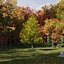 Real Trees III