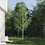 Real Trees III