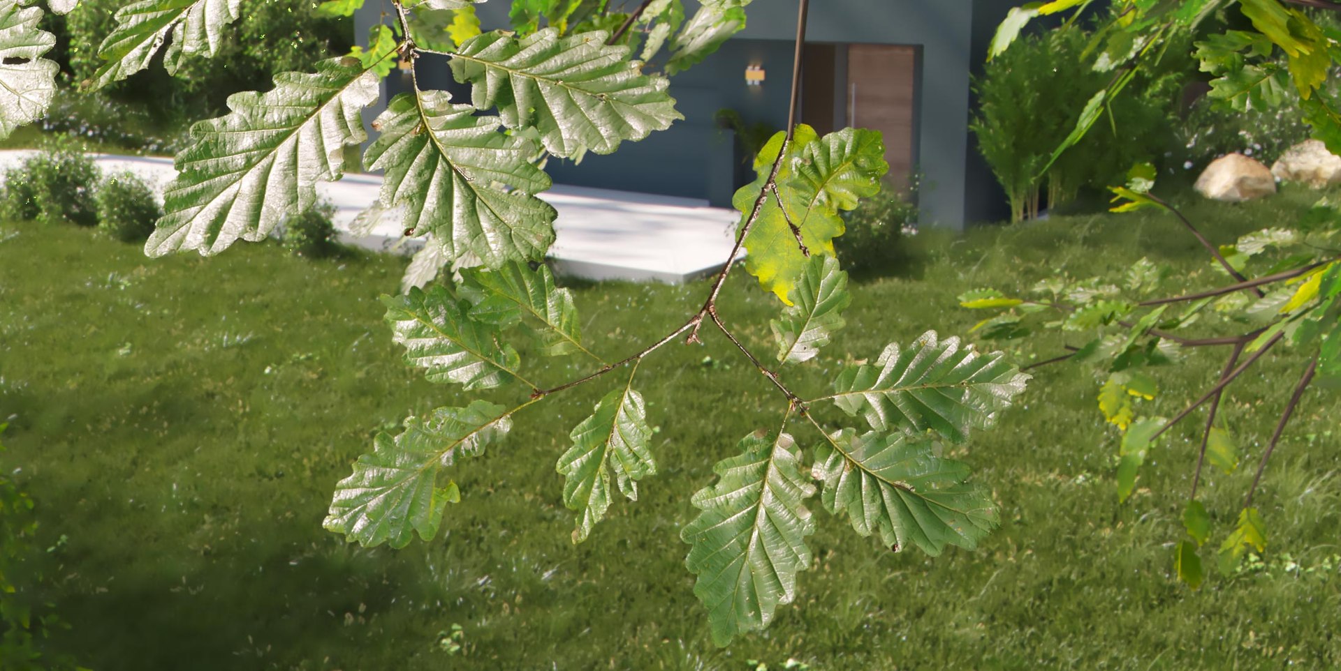 3D Real Trees III https://p.turbosquid.com/ts-thumb/6B/8vPwdA/or/vpoaktreecloseup2200px/jpg/1685383475/1920x1080/fit_q87/cdad4ac99c1909b94c33927c95112245d93e9250/vpoaktreecloseup2200px.jpg
