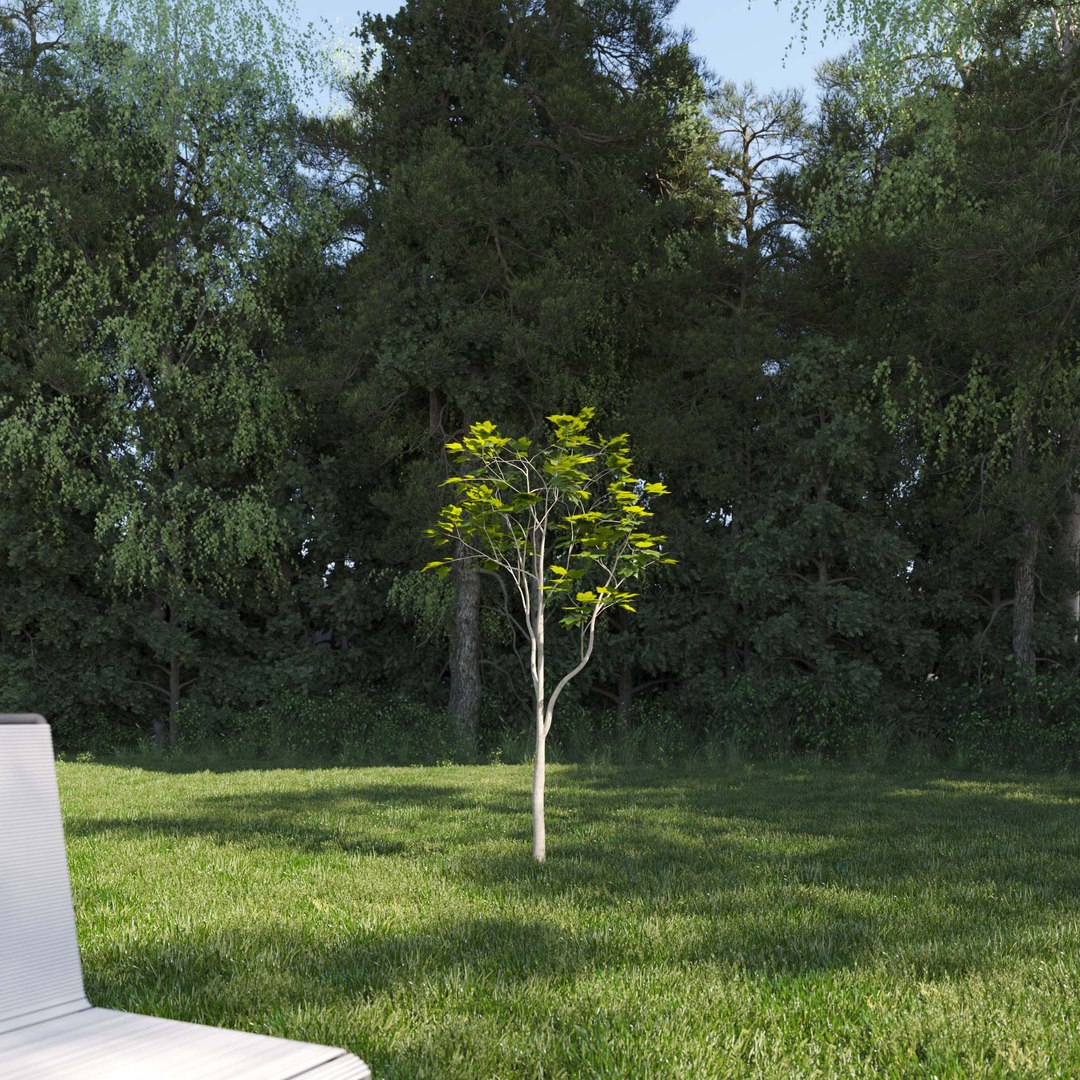 3D Real Trees III https://p.turbosquid.com/ts-thumb/6B/8vPwdA/tV/vpamericanplanetreev1/jpg/1685383550/1920x1080/fit_q87/ce3f9534a6cffff305cb9c6551f81d6d71fb3b88/vpamericanplanetreev1.jpg