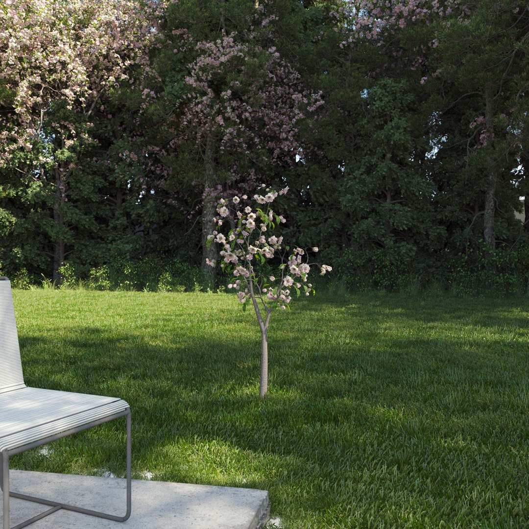 3D Real Trees III https://p.turbosquid.com/ts-thumb/6B/8vPwdA/wB/vpcherrytreev1/jpg/1685383492/1920x1080/fit_q87/434ccf9813dd3ee27f637750d6d1732d9c6d94fa/vpcherrytreev1.jpg