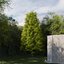 Real Trees III